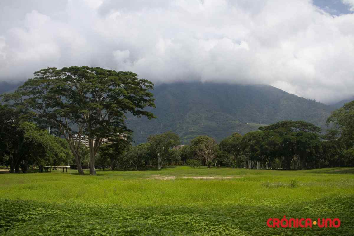 sunep-inparques