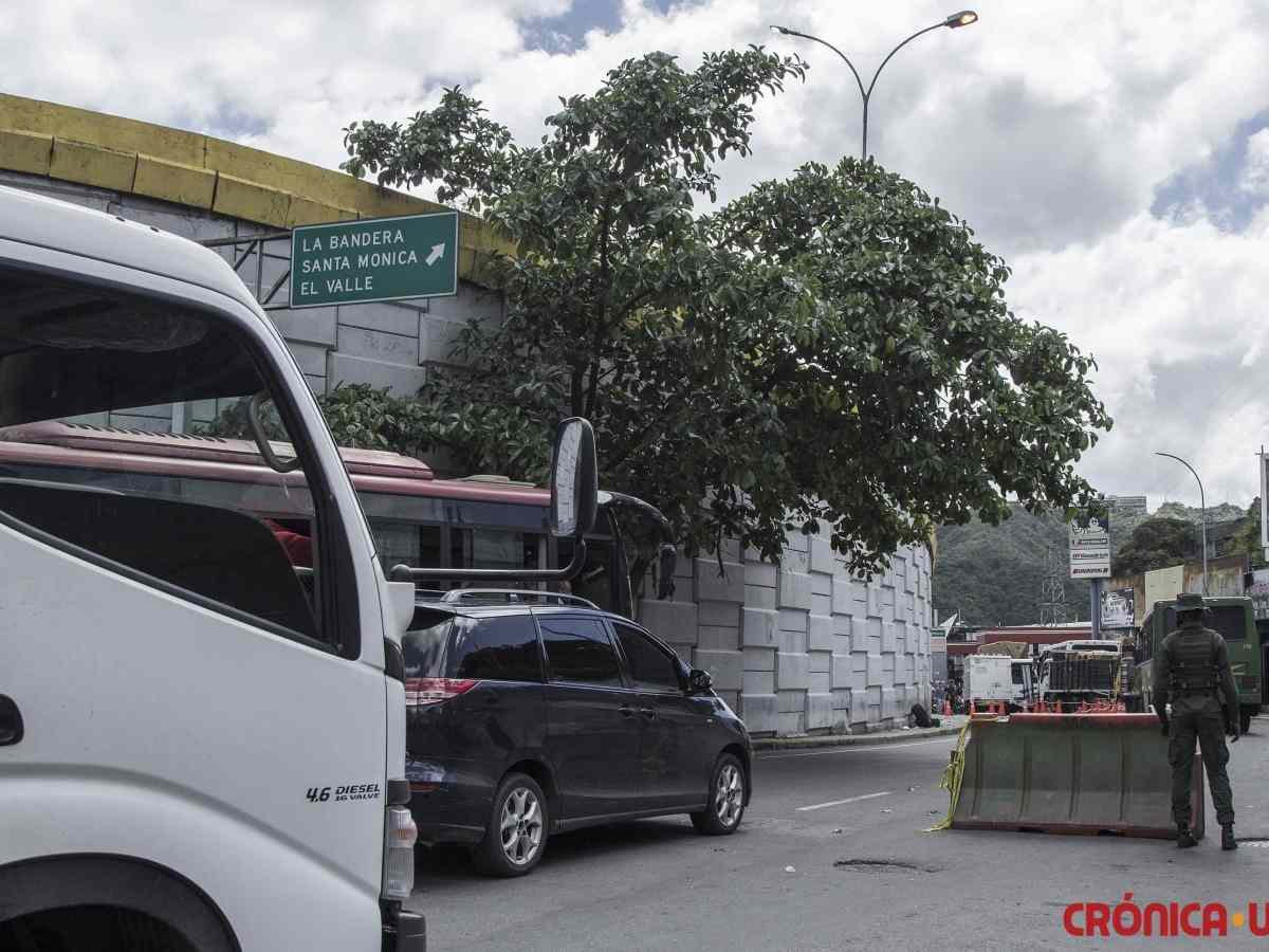 sector agroalimentario