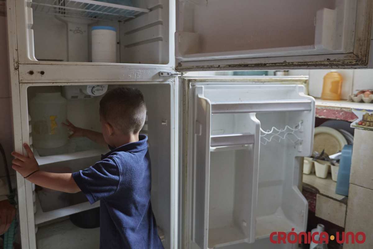 desnutrición | millones de niños