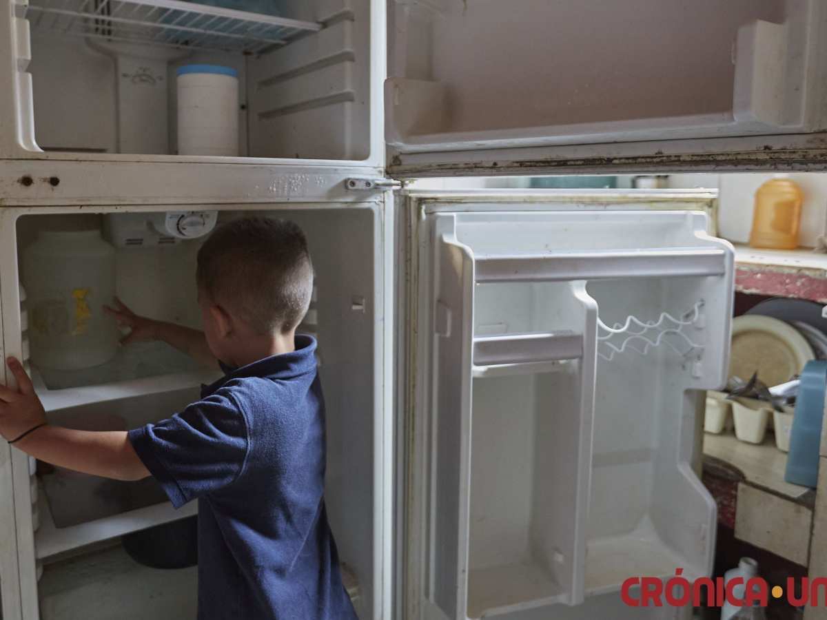 desnutrición | millones de niños