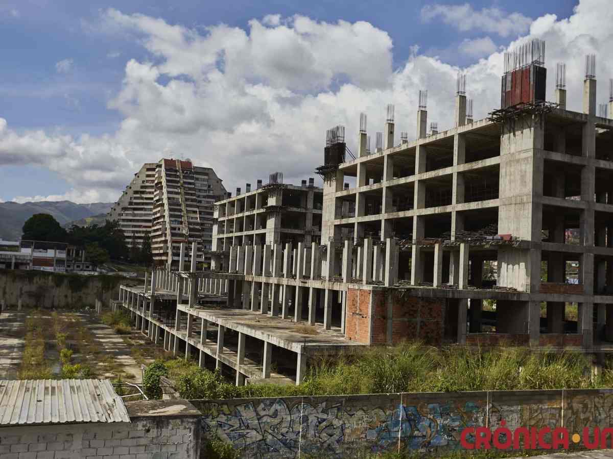 cardiológico de adultos