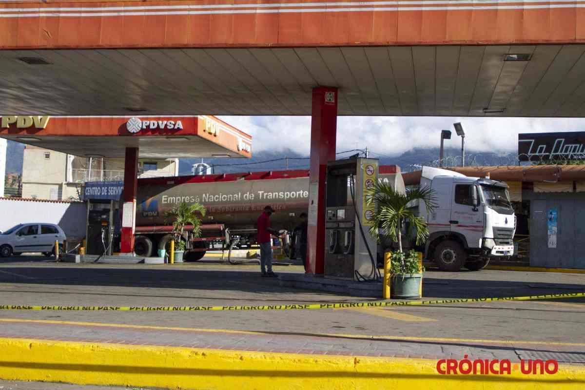gasolina