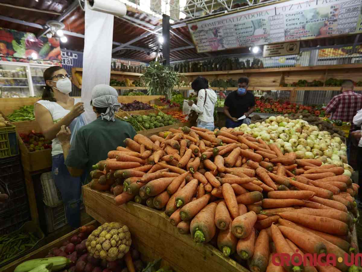 y hortalizas | precios de carnes