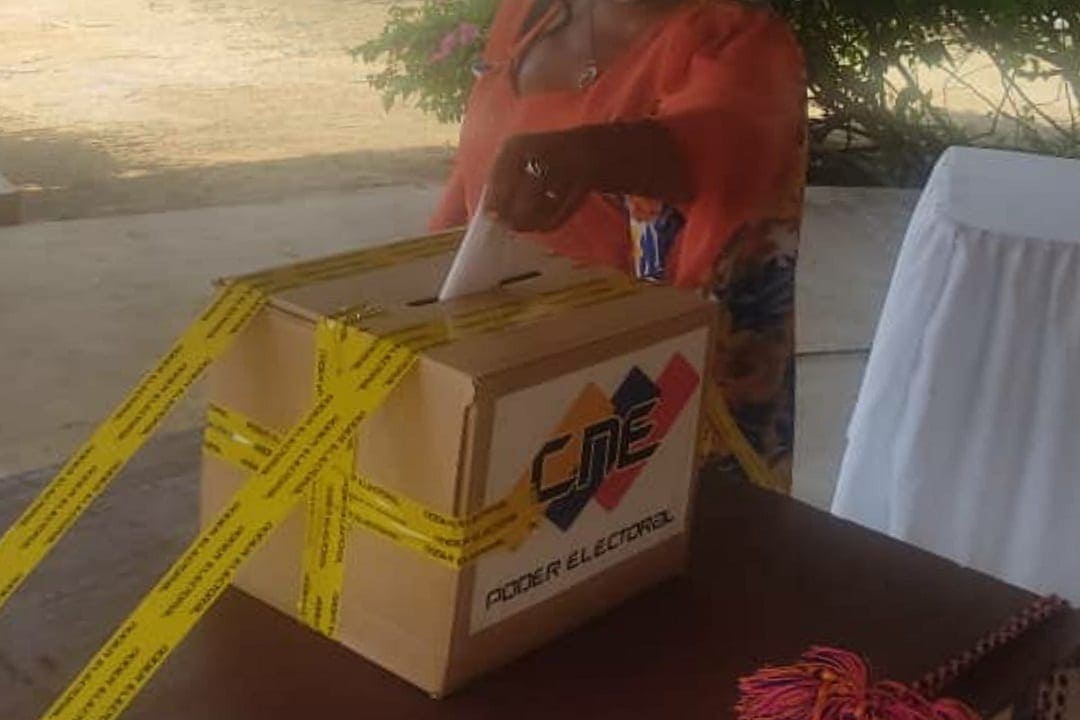 representación indígena