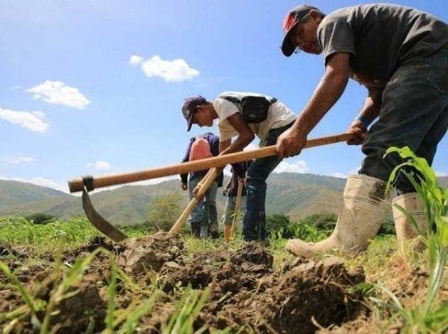 productores agrícolas -continuidad presidencia de Guaidó