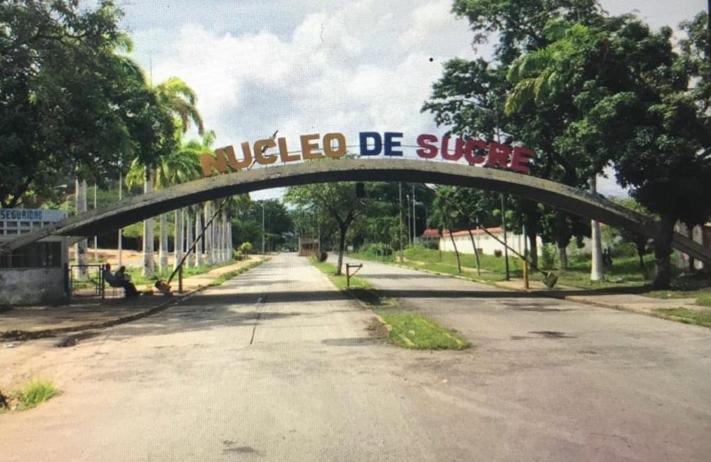 trabajadores universitarios