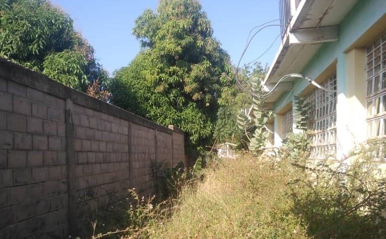 actividades escolares