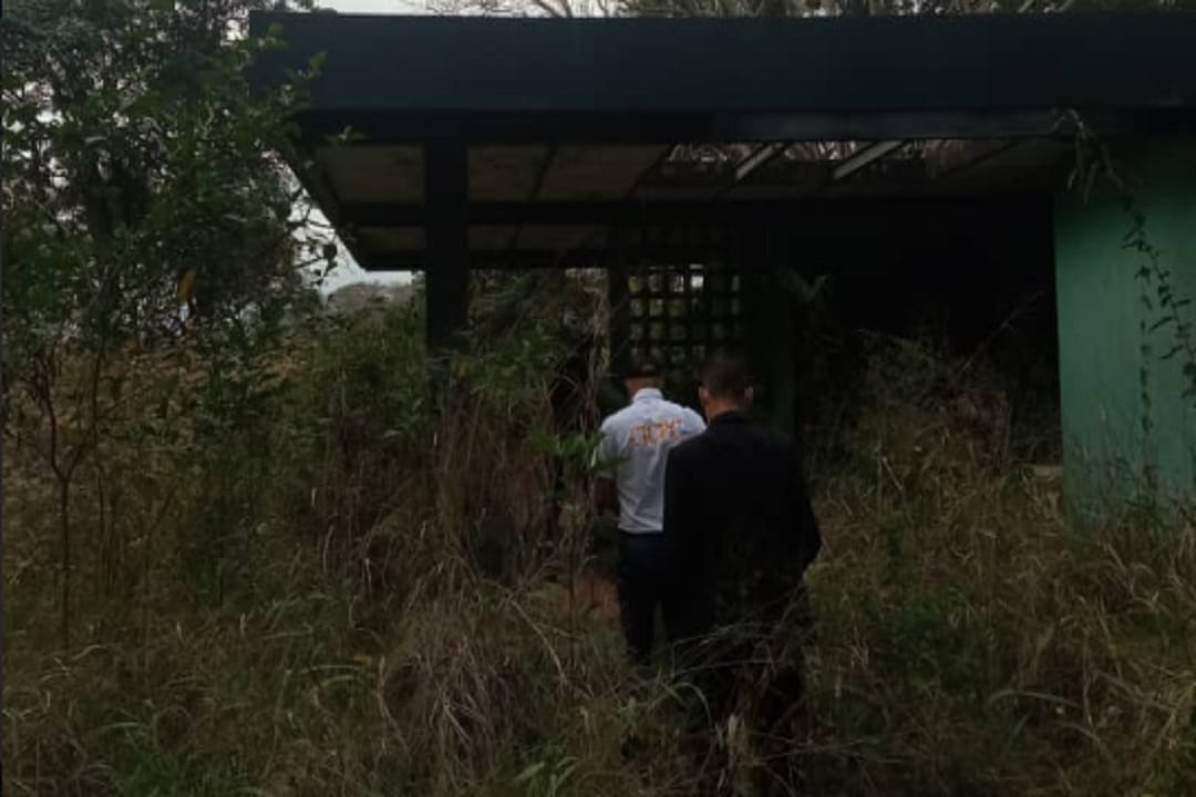 Tres femicidios y una detención por violencia de género se registraron en Bolívar en apenas 24 horas