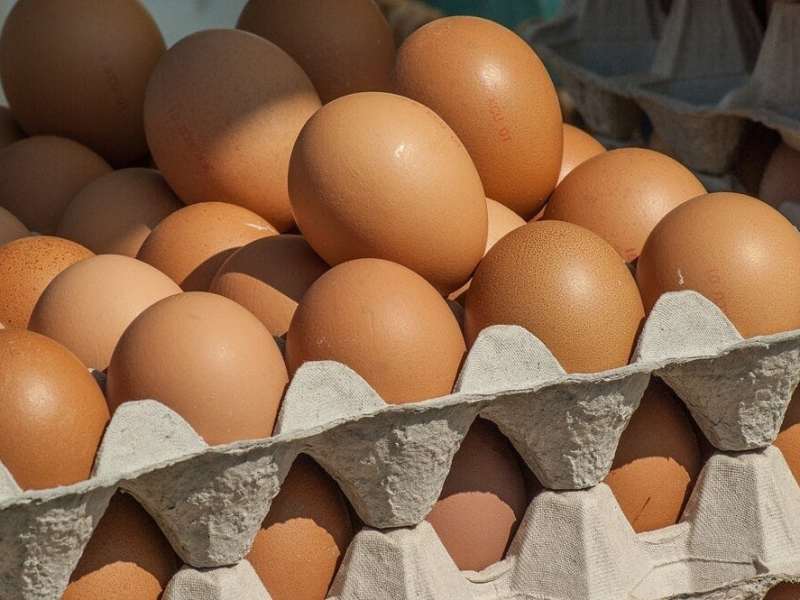 El cartón de huevos aumentó más de 86% en bolívares entre agosto y septiembre