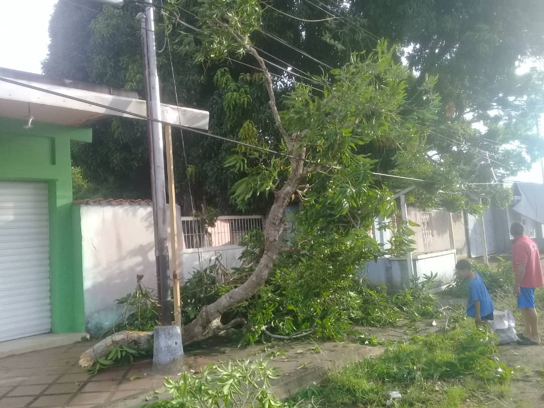 Campo Alegre