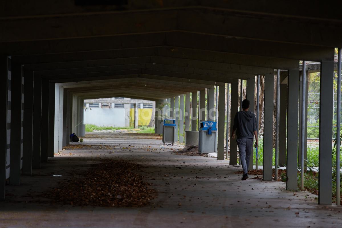 profesores universitarios