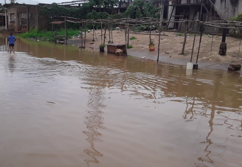 Barrancas del Orinoco