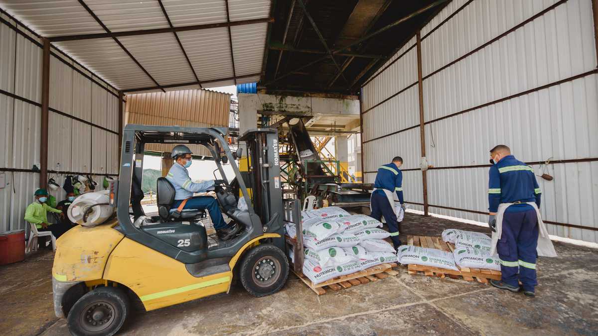 monómeros oposición