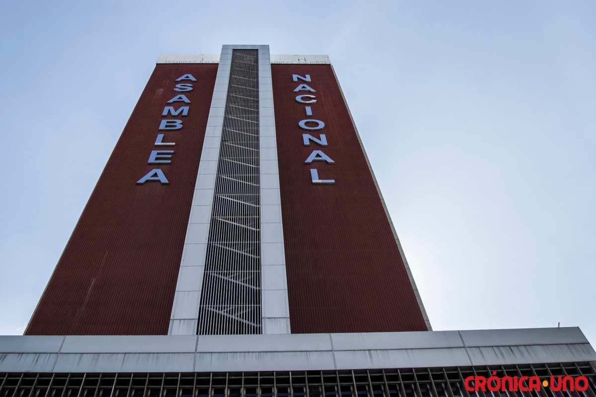 AN | Ley contra la Corrupción | Ley de Redes Sociales | ONG