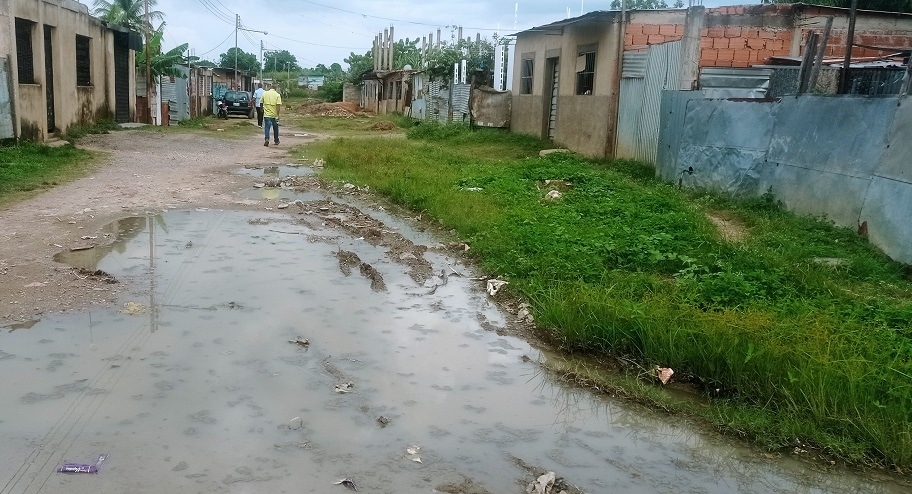 barrio Los Girasoles