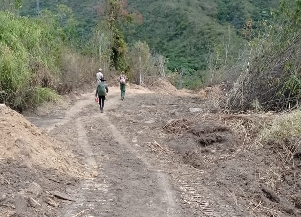 Inparques