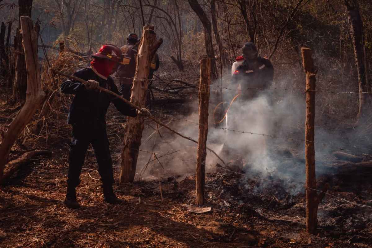 ministerio de los bomberos
