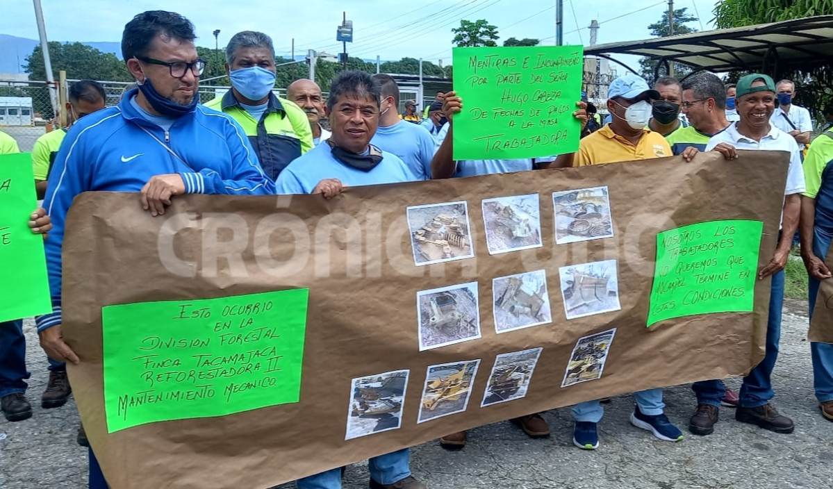 Cartón Venezuela sindicato