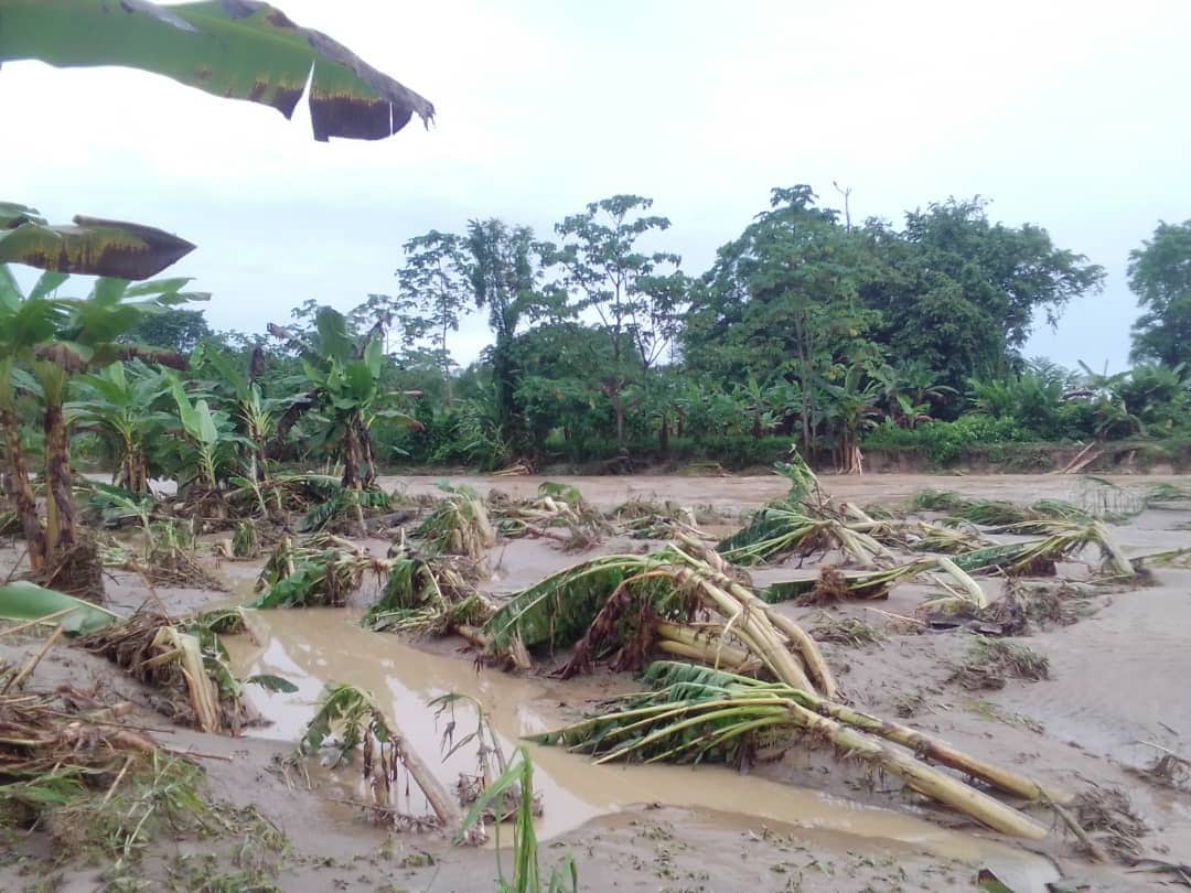 alerta máxima