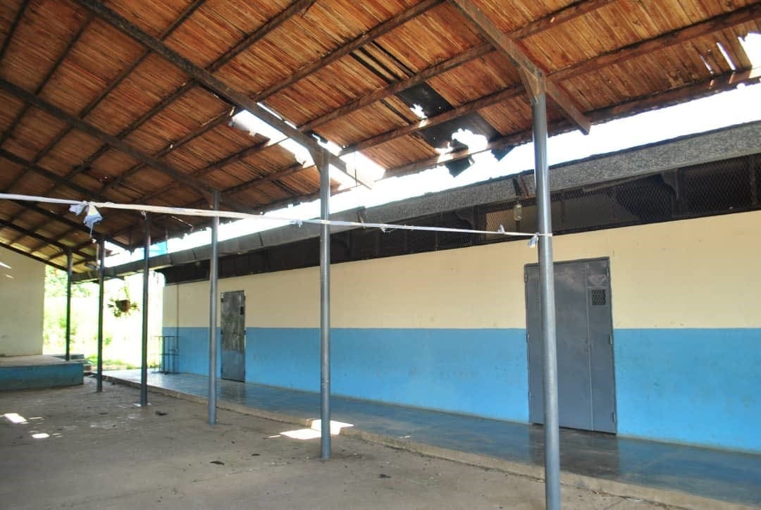 abandonado las aulas