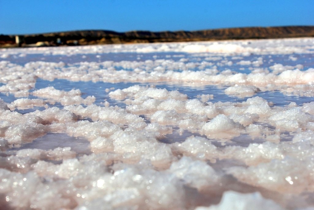 salinas de Araya