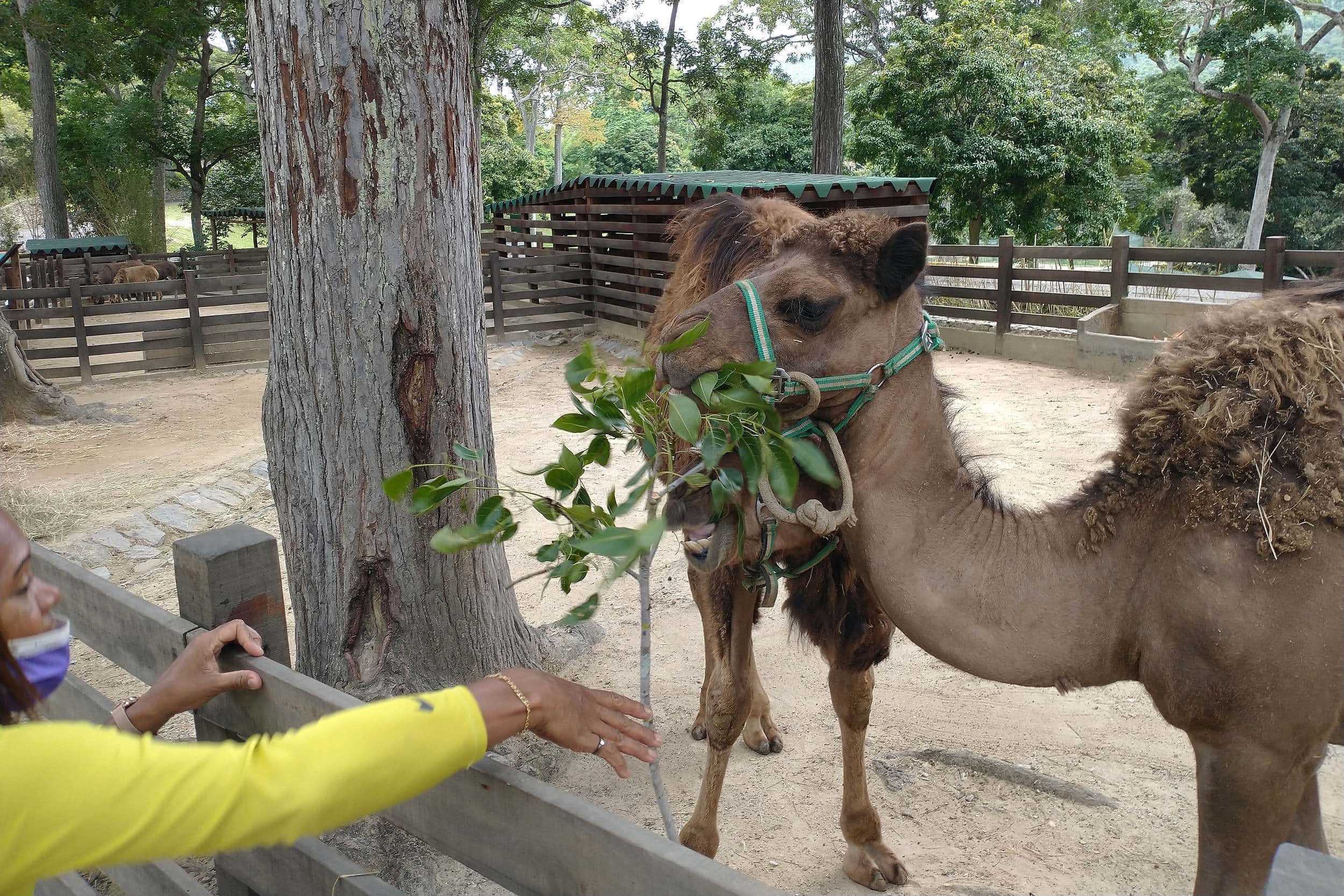 recreación, lugares 