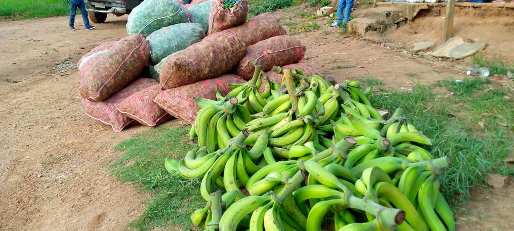 Producción agropecuaria Bolívar