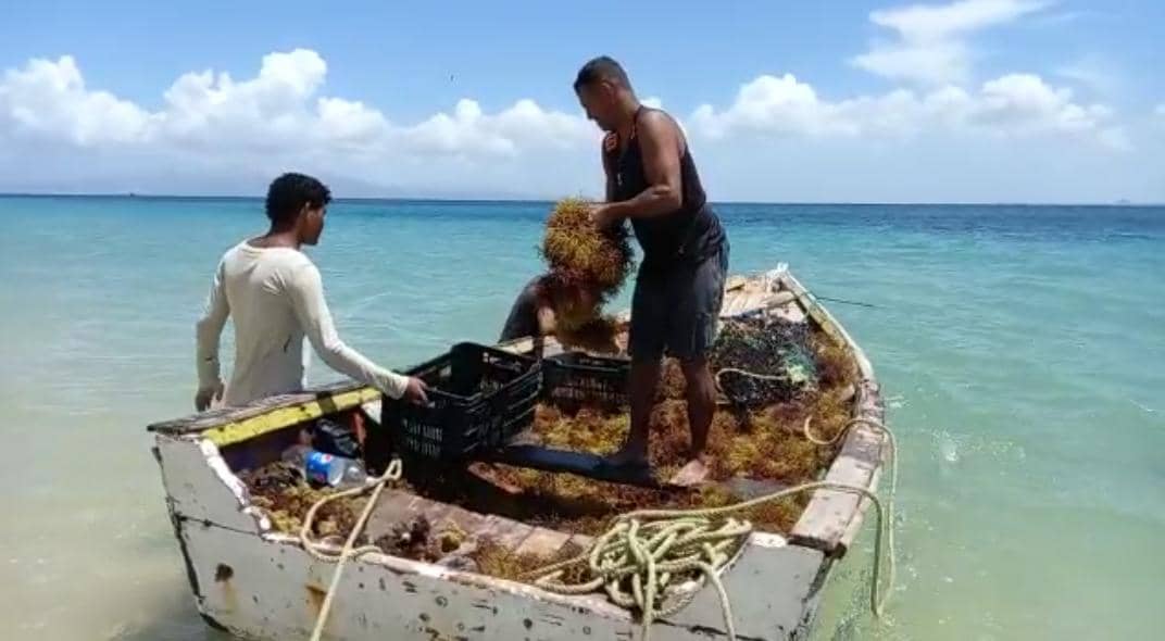 pescadores