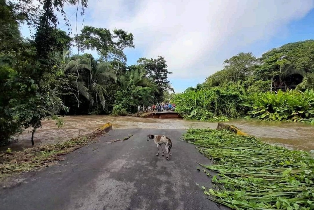 Caída de puente en Padre Chien afectó a 120 unidades de producción