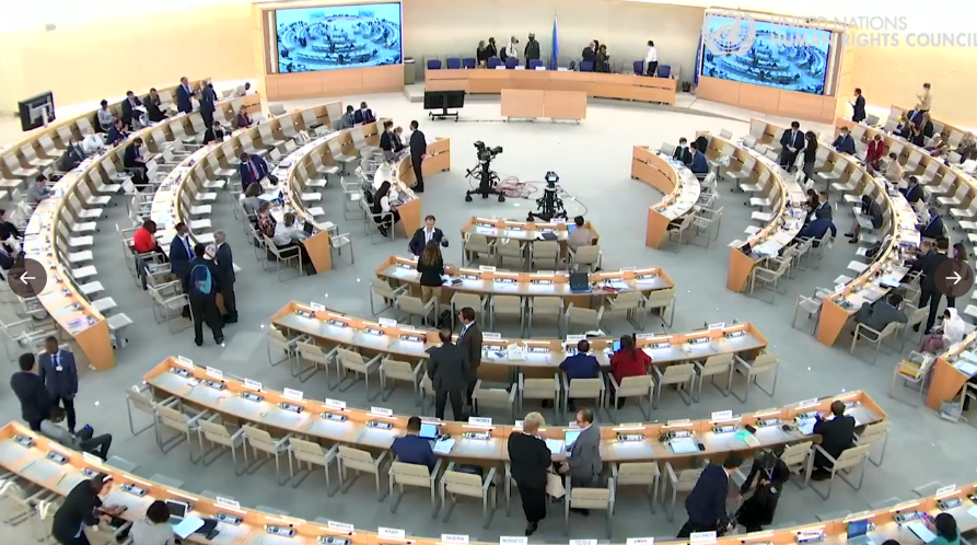 Consejo de Derechos Humanos de la ONU