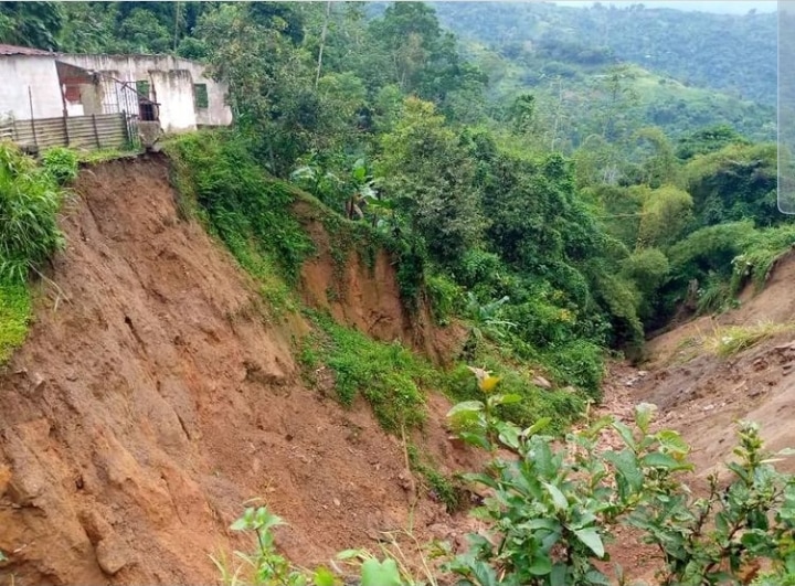 Afectadas por las lluvias