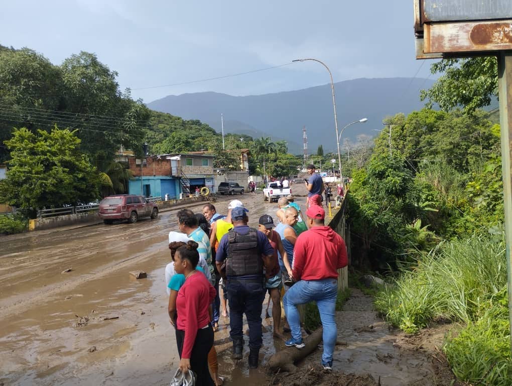 El Castaño