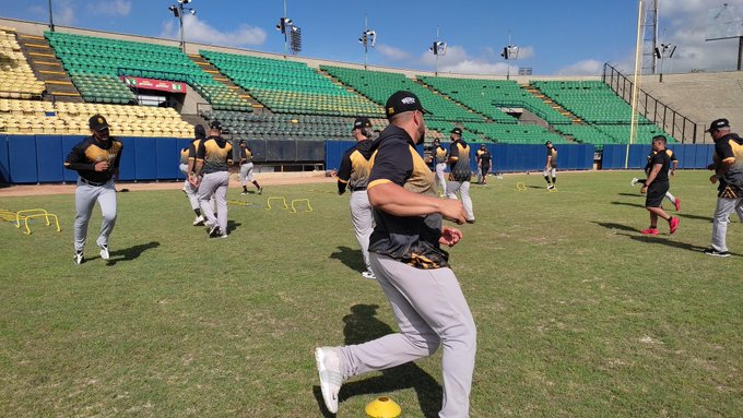 beisbol profesional LVBP