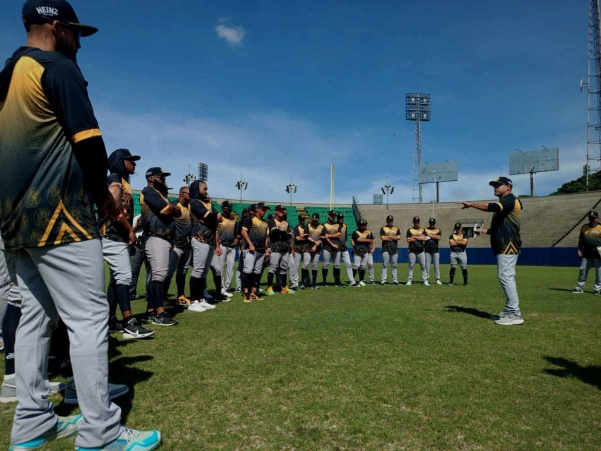 Leones de Caracas