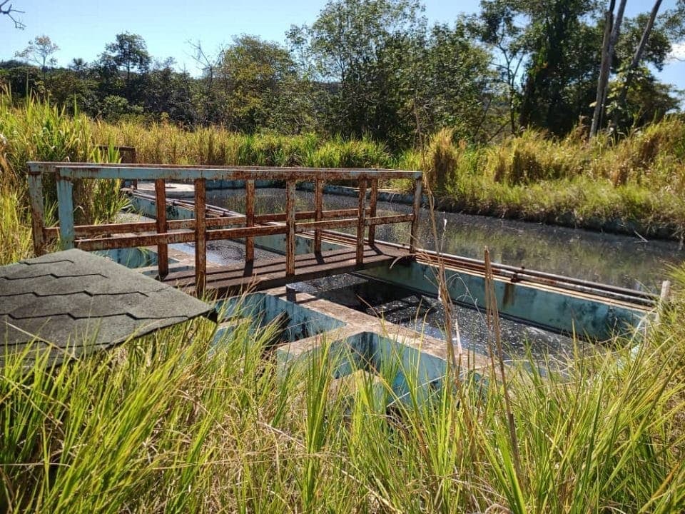 Parque Nacional Canaima cumple 61 años entre atractivos turísticos y amenazas