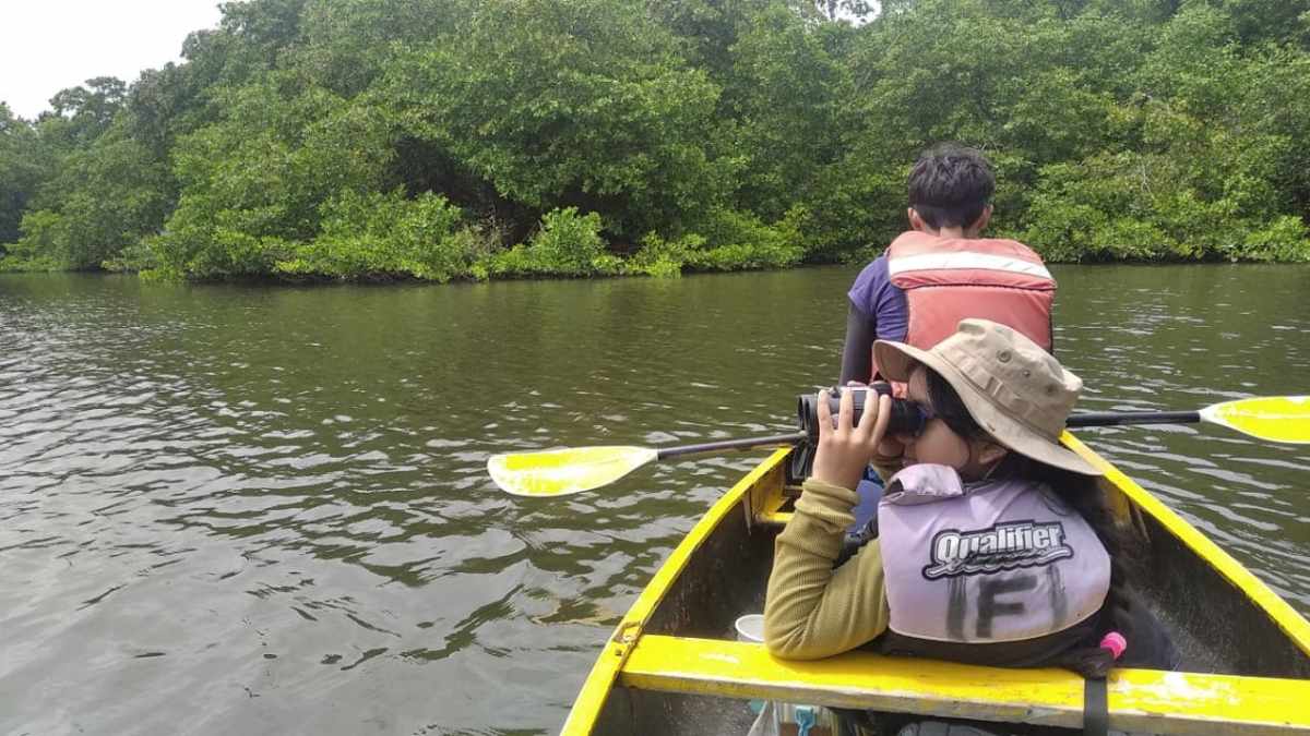Isla Mágico Manglar
