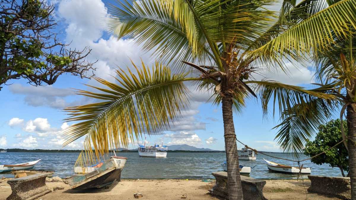 compras en margarita