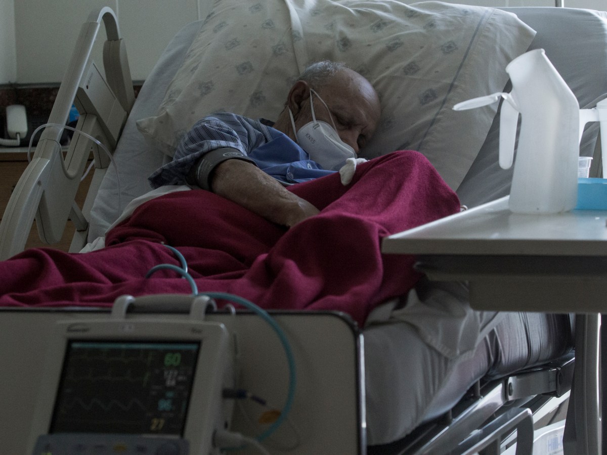 #EnClaves | Lo que debes saber sobre el hantavirus en Venezuela: mitos, síntomas y prevención