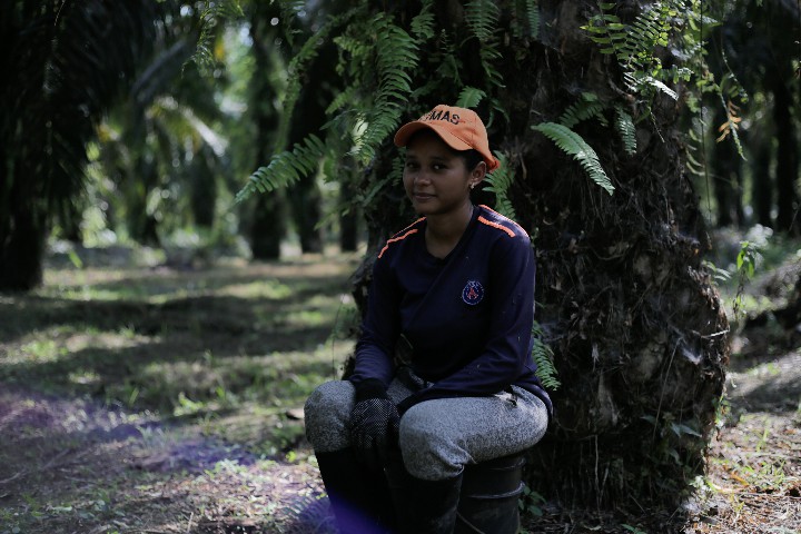 recolectora de Corozo