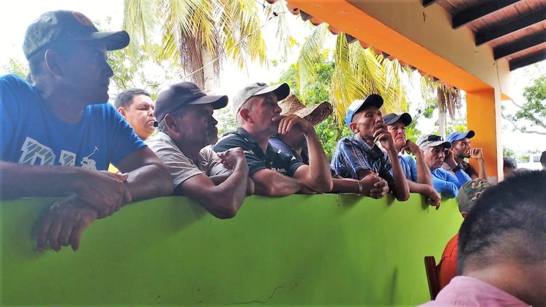 productores de leche