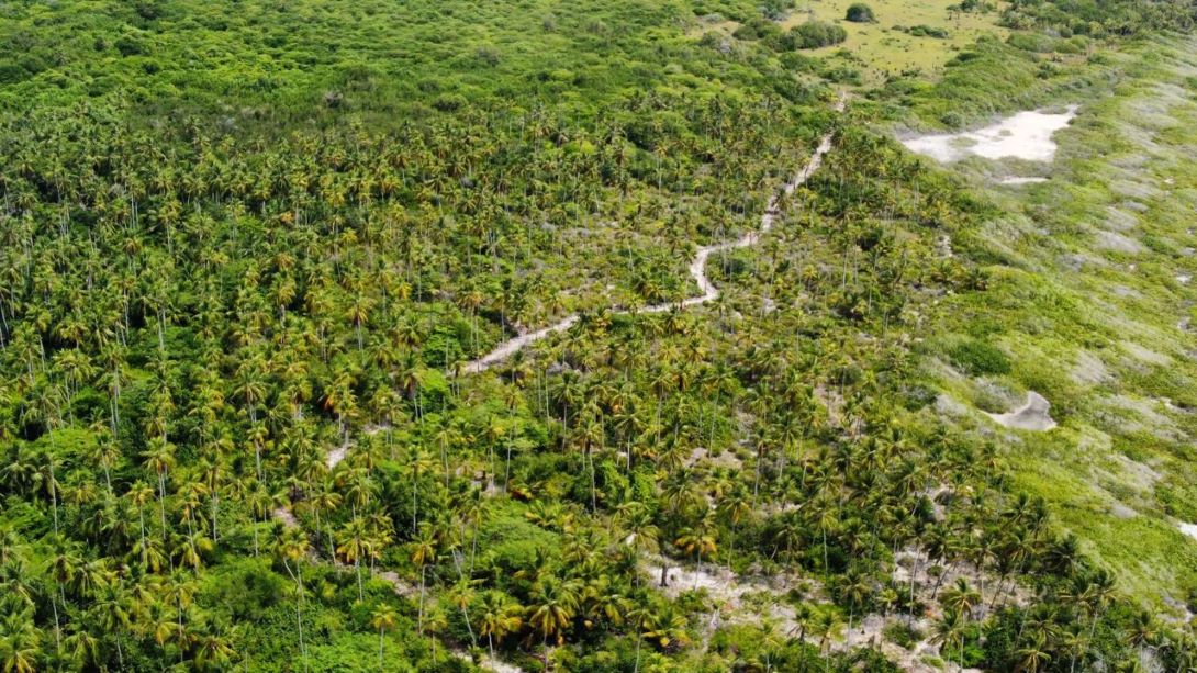 Morrocoy, Chichiriviche