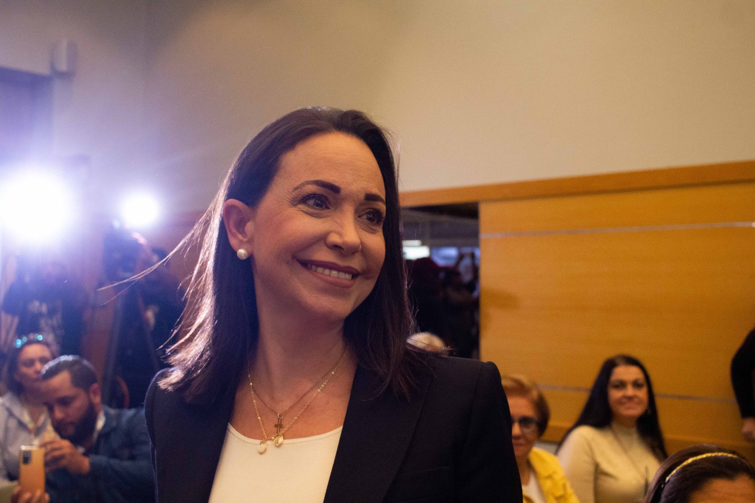 programa de gobierno