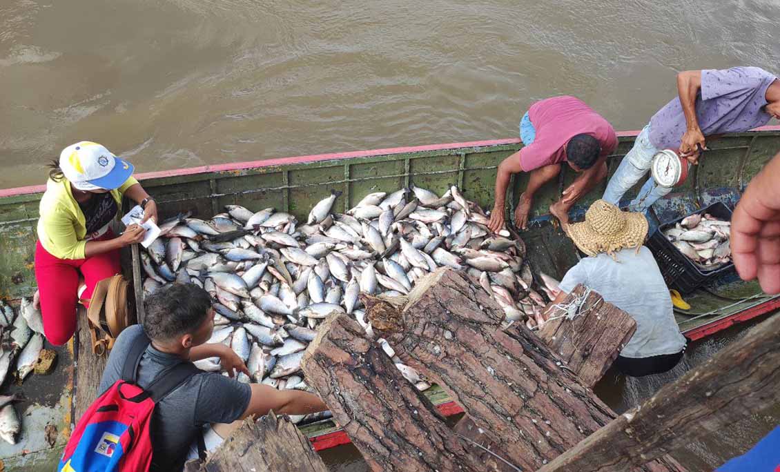 Feria de la Sapoara 2023 espera recibir a 50 mil visitantes