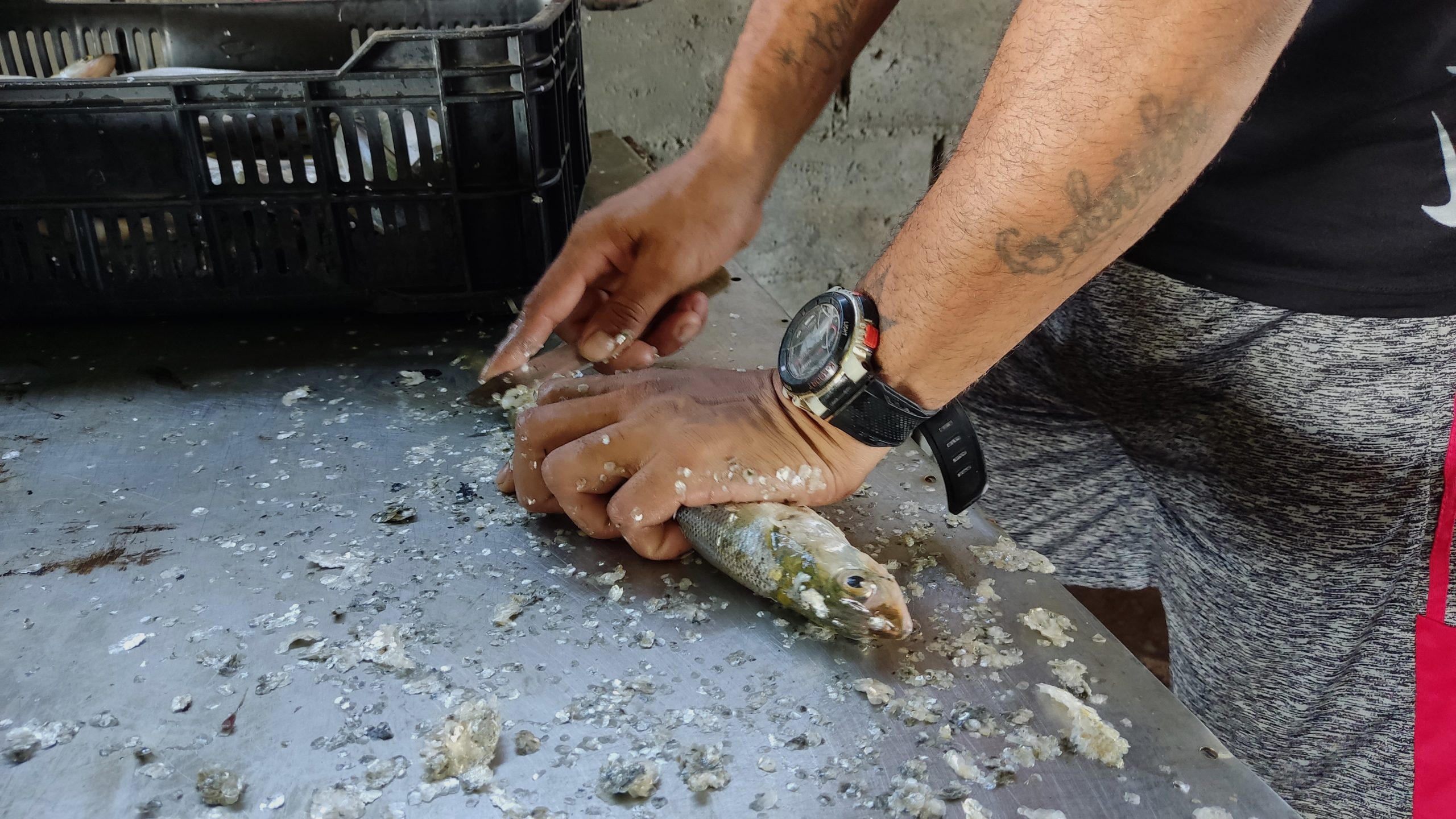 En plena calle de Catia florece la venta de pescado recién salido del agua 