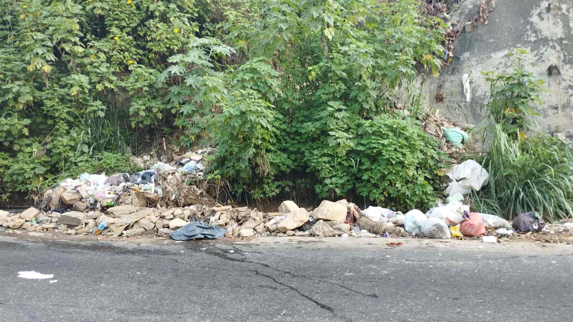Ineficiencia en la recolección de basura agrava problemas ambientales