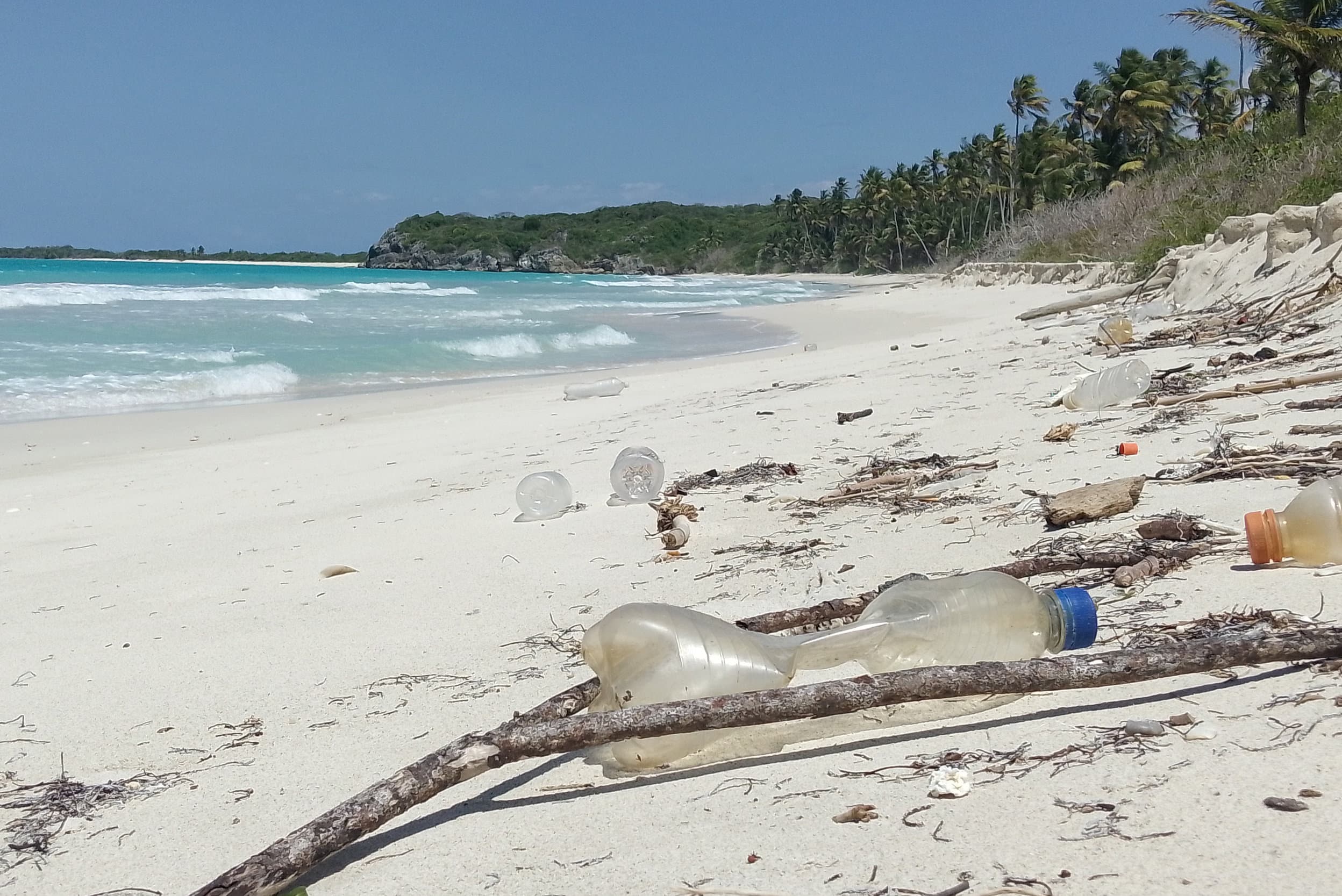 Crisis ambiental pone en riesgo al parque nacional Morrocoy (I)