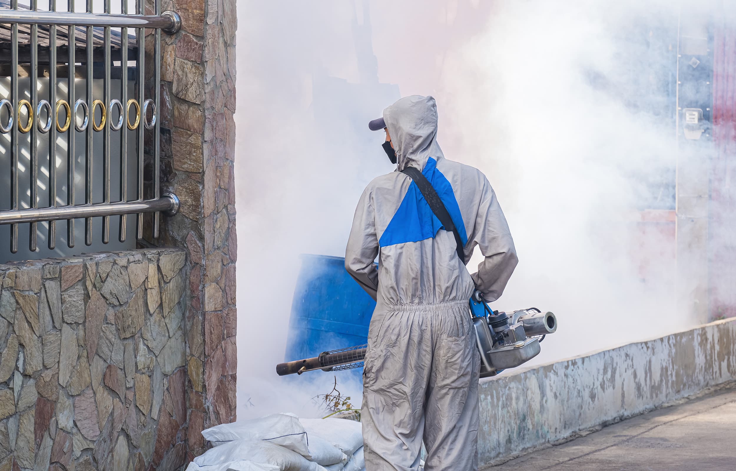 En claves: lo que debe saber sobre el virus Oropouche
