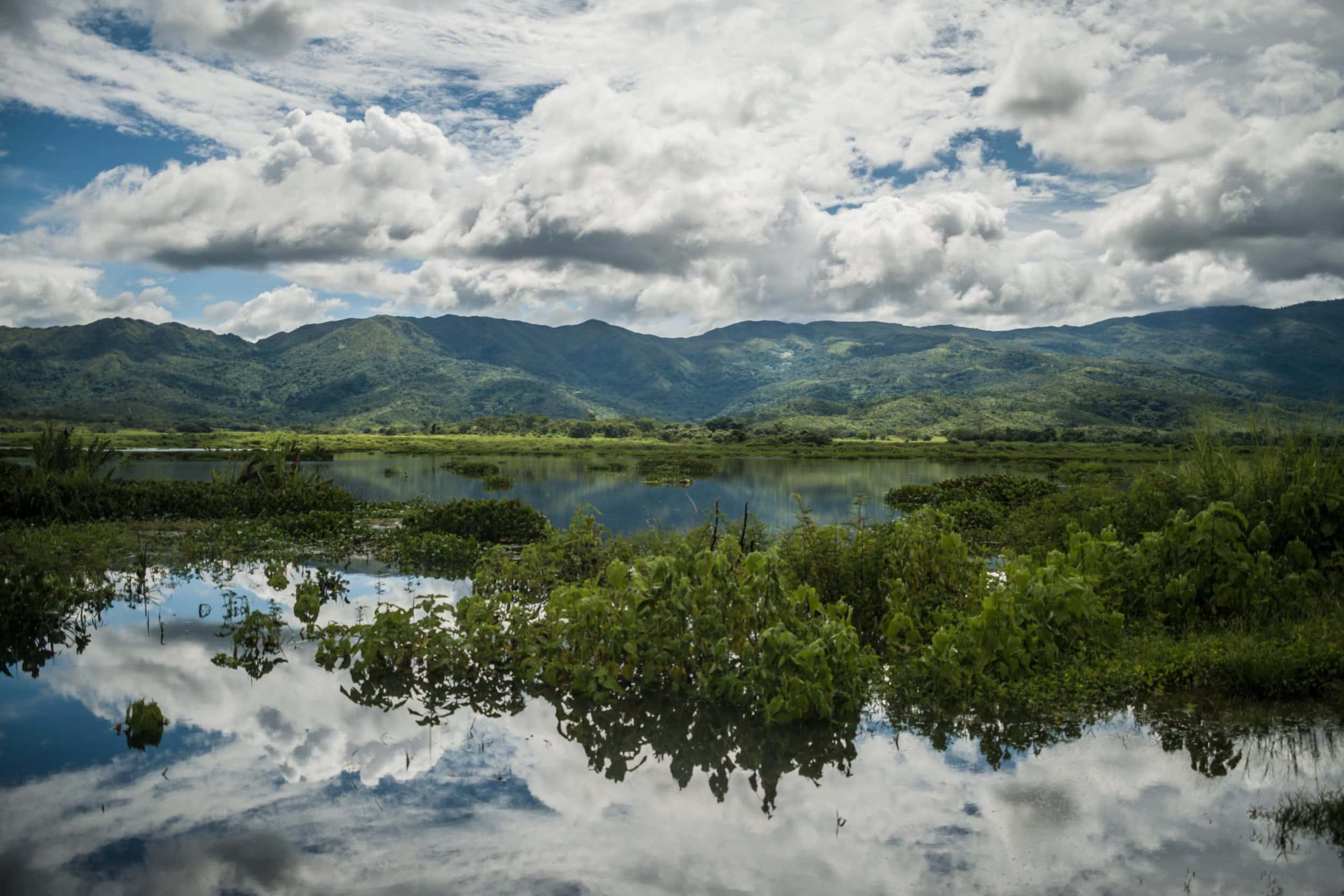 Guataparo