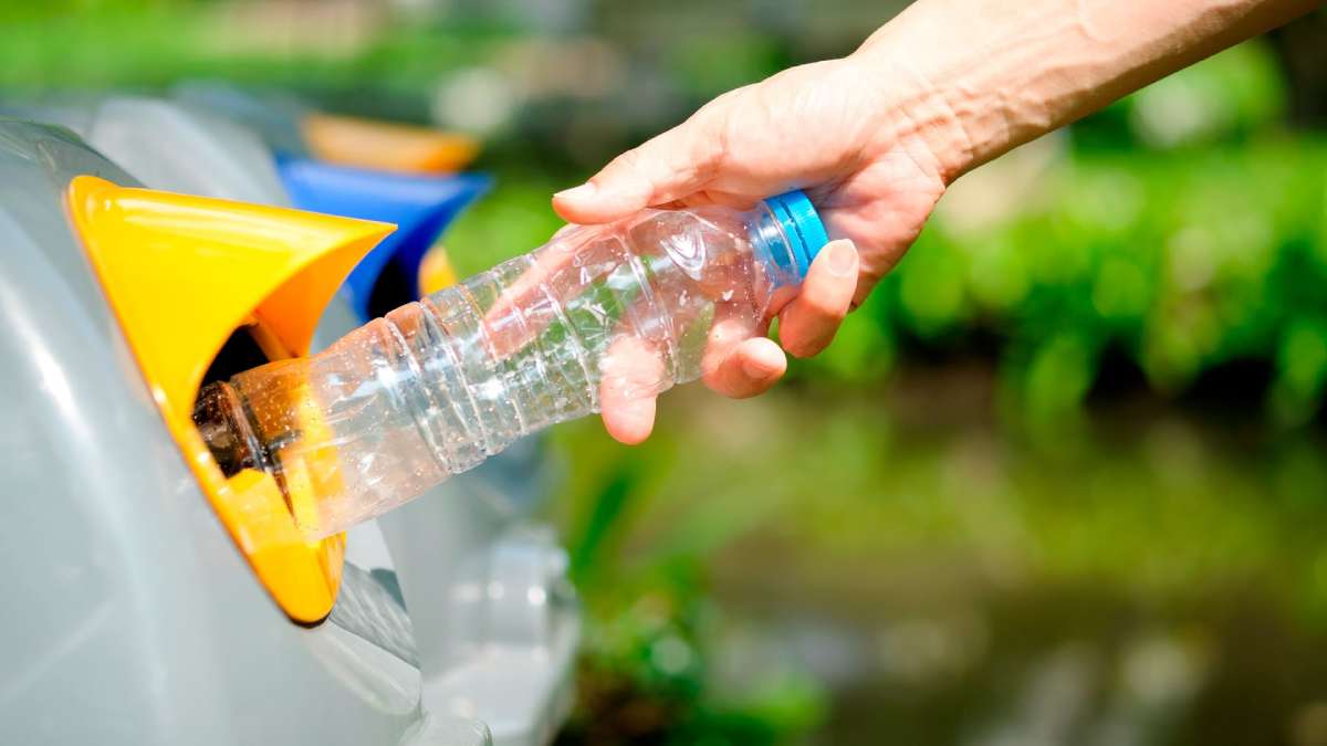 Basura Cero: un proyecto de reciclaje ecosustentable