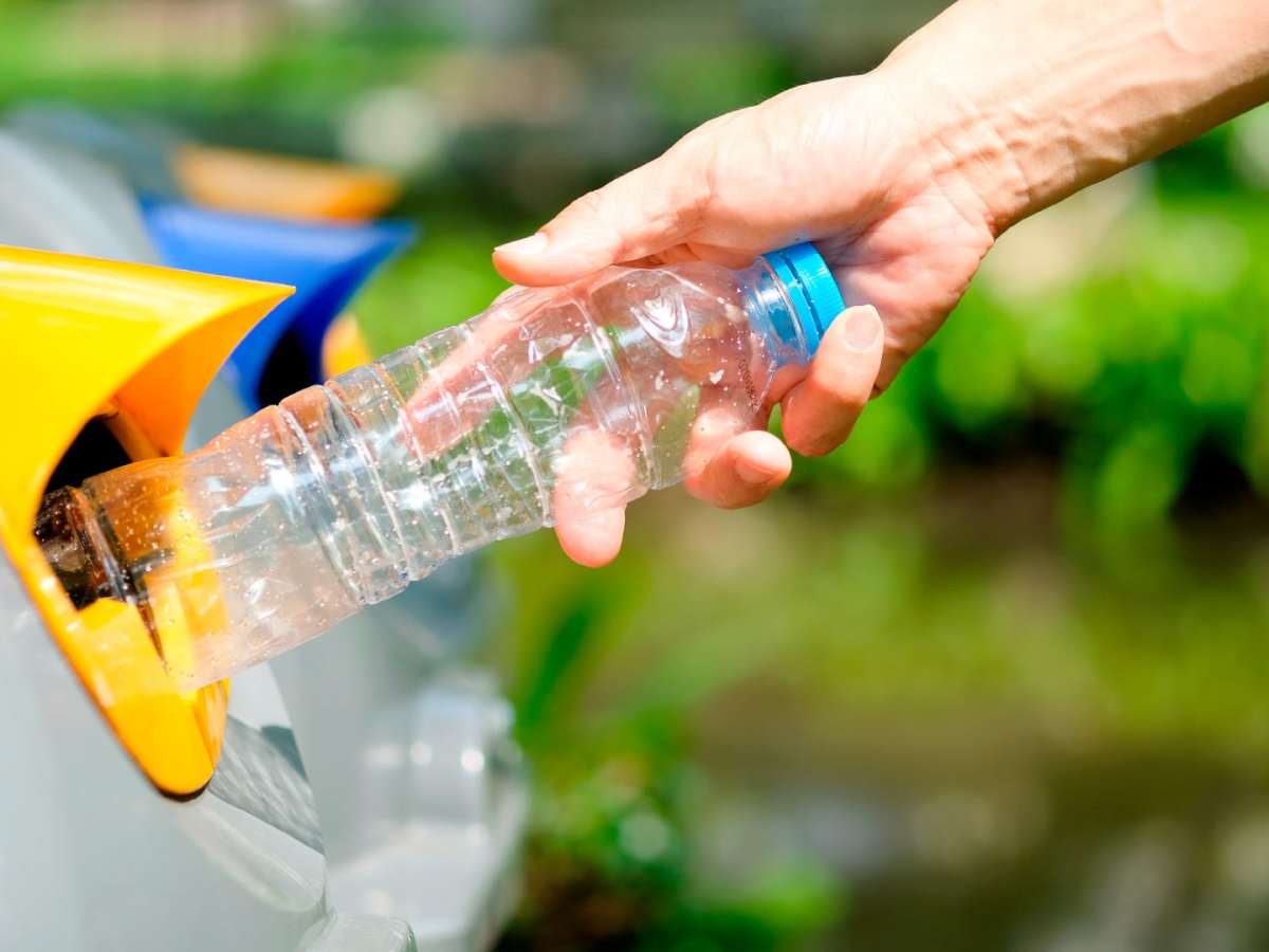 Basura Cero: un proyecto de reciclaje ecosustentable